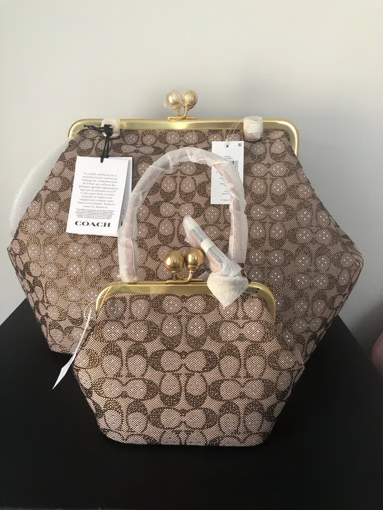 Coach Crystal Kisslock 16 — NWT